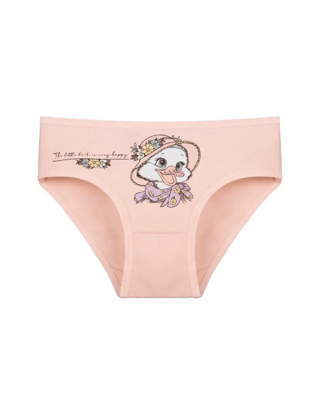 Donella 4171PB237 Assorted 10-Pack Girls' Briefs — wholesale for boutiques