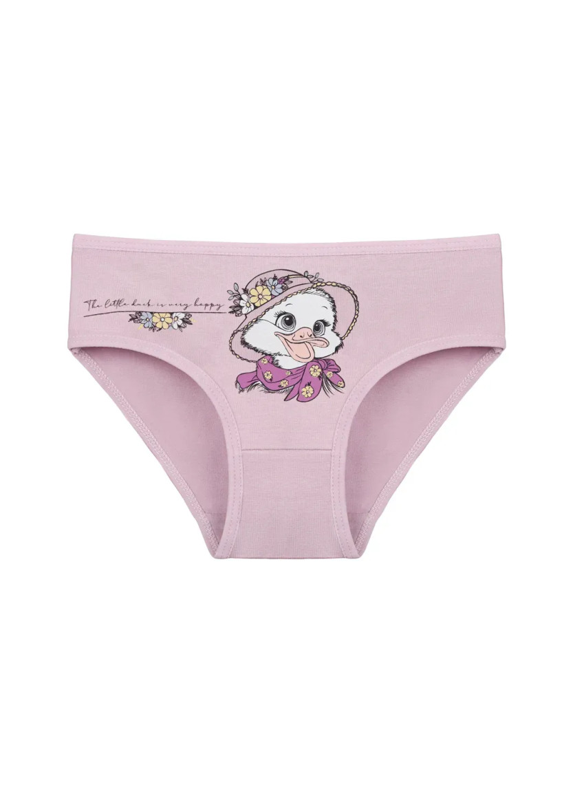 Donella 4171PB237 Assorted 10-Pack Girls' Briefs — Turkish factory wholesale