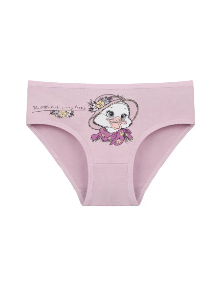 Donella 4171PB237 Assorted 10-Pack Girls' Briefs — Turkish factory wholesale