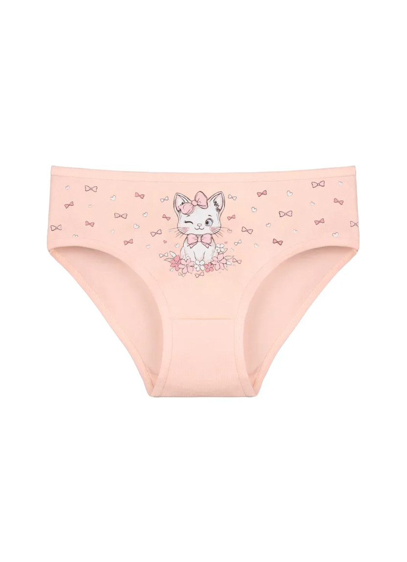 Donella 4171PB246 Assorted 10-Pack Girls' Briefs — wholesale for boutiques