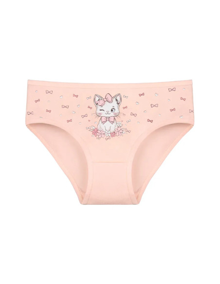 Donella 4171PB246 Assorted 10-Pack Girls' Briefs — wholesale for boutiques