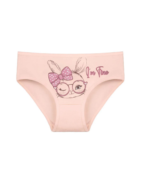 Donella 4171PB251 Assorted 10-Pack Girls' Briefs — direct Turkish factory supply