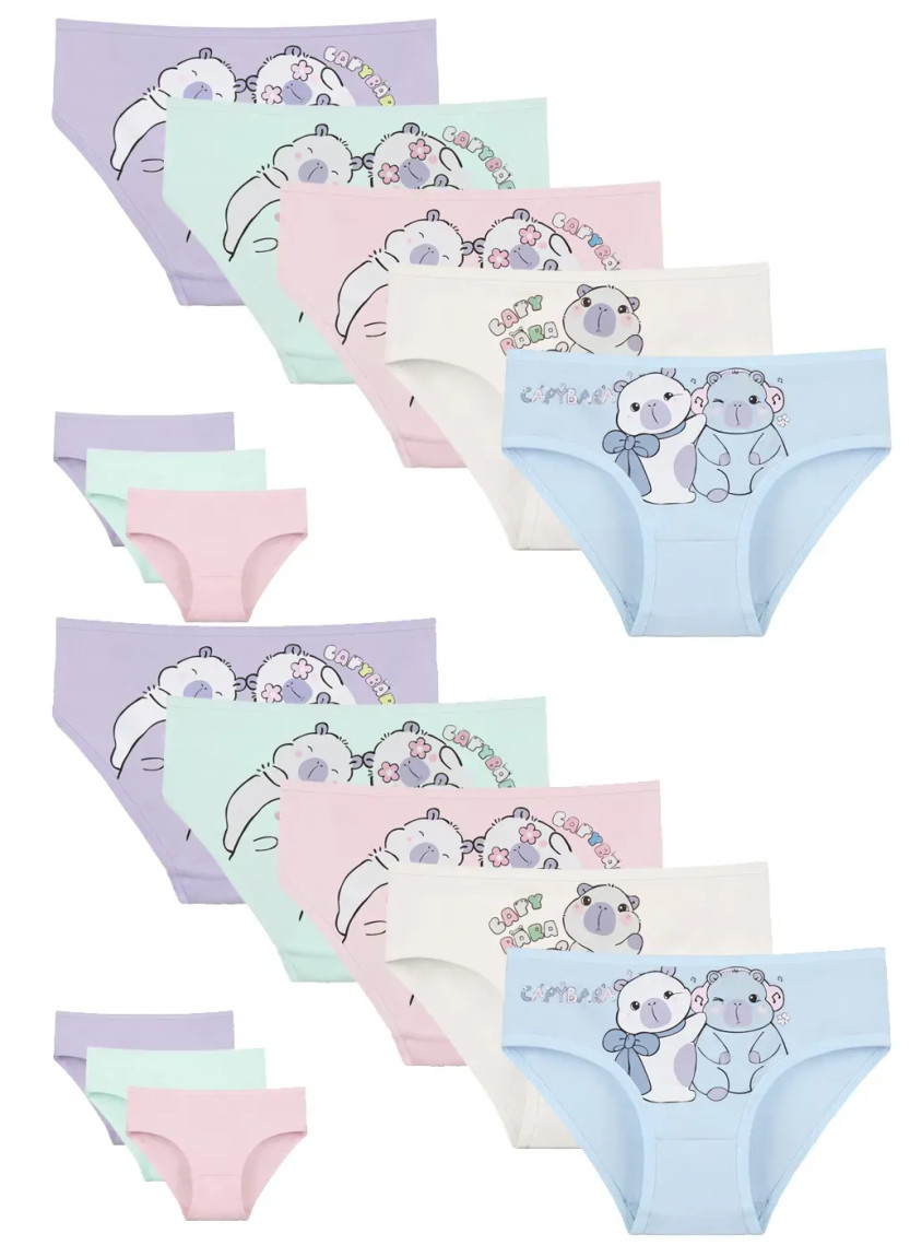 Donella 4171PB252 Assorted 10-Pack Girls' Briefs — Istanbul wholesale supplier