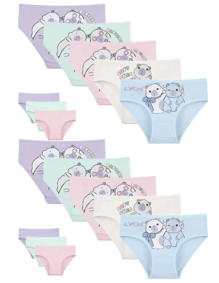 Donella 4171PB252 Assorted 10-Pack Girls' Briefs — Istanbul wholesale supplier
