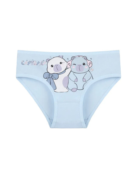 Donella 4171PB252 Assorted 10-Pack Girls' Briefs — wholesale for boutiques