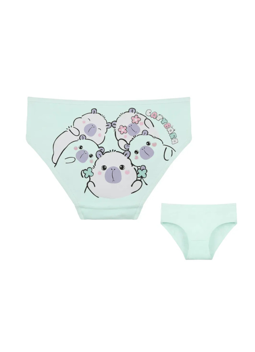 Donella 4171PB252 Assorted 10-Pack Girls' Briefs — Turkey wholesale collection