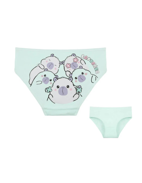 Donella 4171PB252 Assorted 10-Pack Girls' Briefs — Turkey wholesale collection