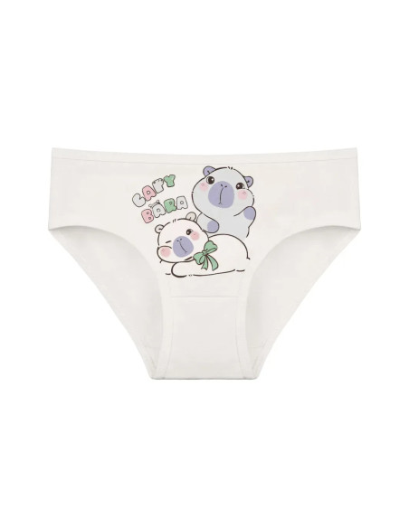 Donella 4171PB252 Assorted 10-Pack Girls' Briefs — Turkish factory wholesale