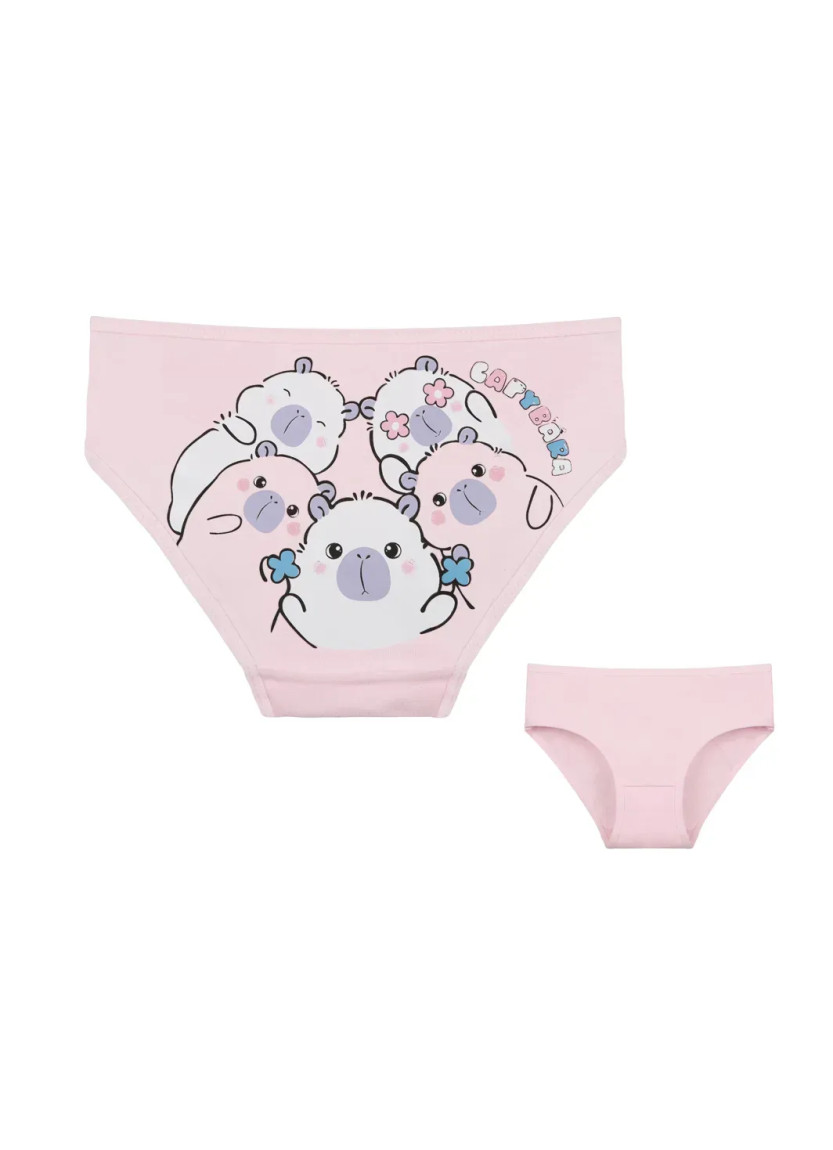 Donella 4171PB252 Assorted 10-Pack Girls' Briefs — Istanbul wholesale supplier