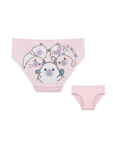 Donella 4171PB252 Assorted 10-Pack Girls' Briefs — Istanbul wholesale supplier