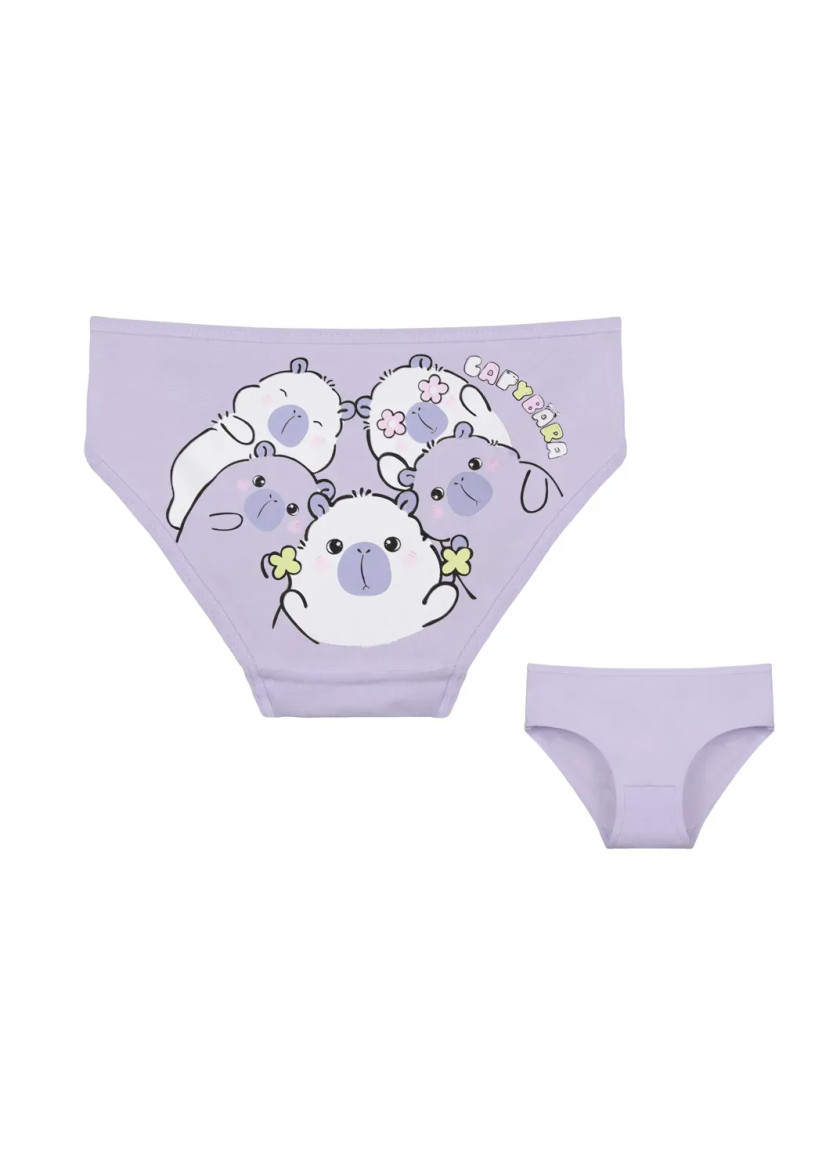 Donella 4171PB252 Assorted 10-Pack Girls' Briefs — wholesale for boutiques