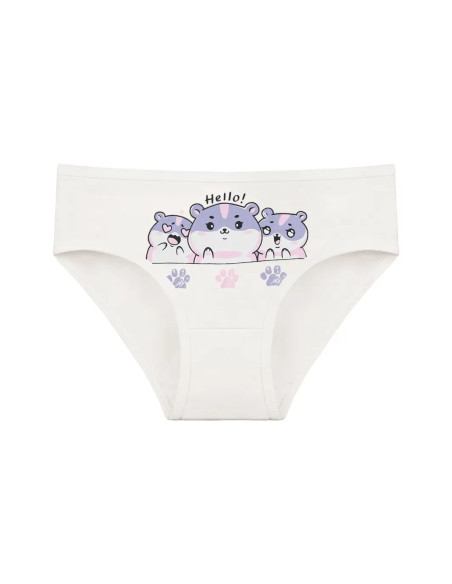 Donella 4171PB254 Assorted 10-Pack Girls' Briefs — wholesale for boutiques