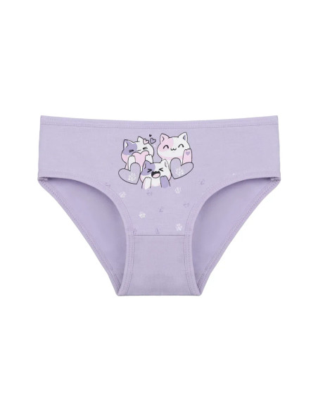 Donella 4171PB254 Assorted 10-Pack Girls' Briefs — Istanbul wholesale supplier