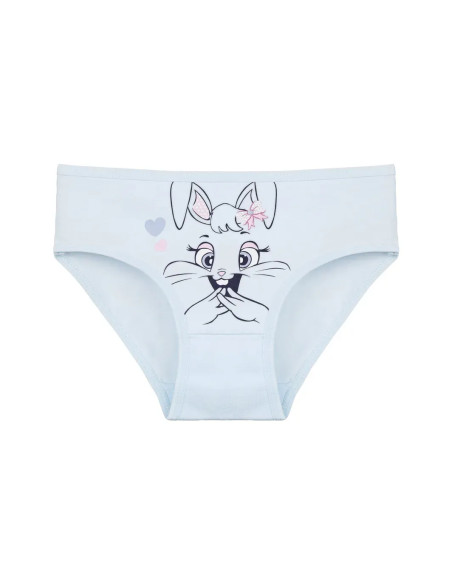 Donella 4171PB257 Assorted 10-Pack Girls' Briefs — wholesale from Turkey