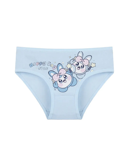 Donella 4171PB266 Assorted 10-Pack Girls' Briefs — Istanbul wholesale supplier
