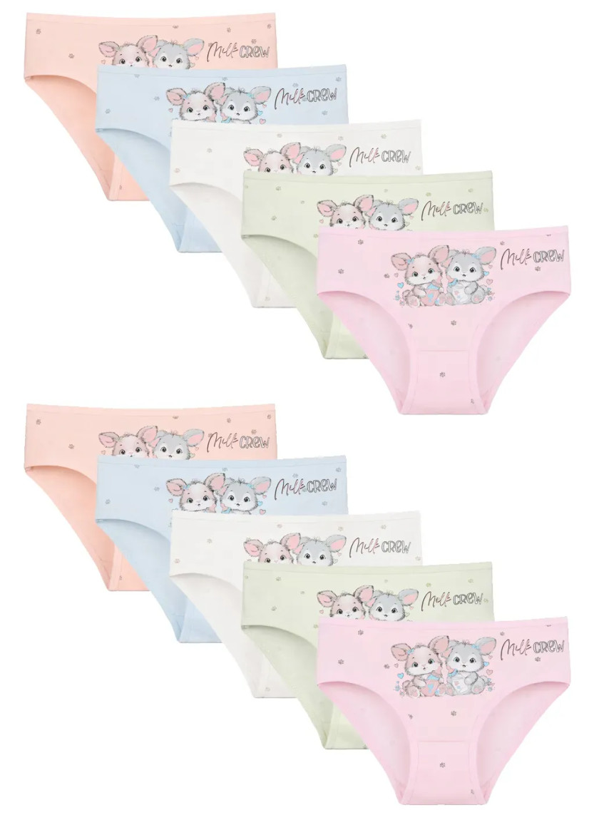 Donella 4181B43 Assorted 10-Pack Girls' Briefs — Istanbul wholesale supplier