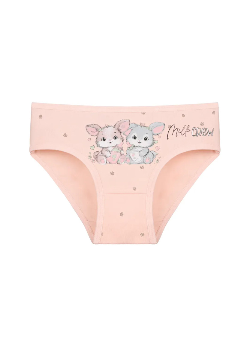Donella 4181B43 Assorted 10-Pack Girls' Briefs — Turkey wholesale collection