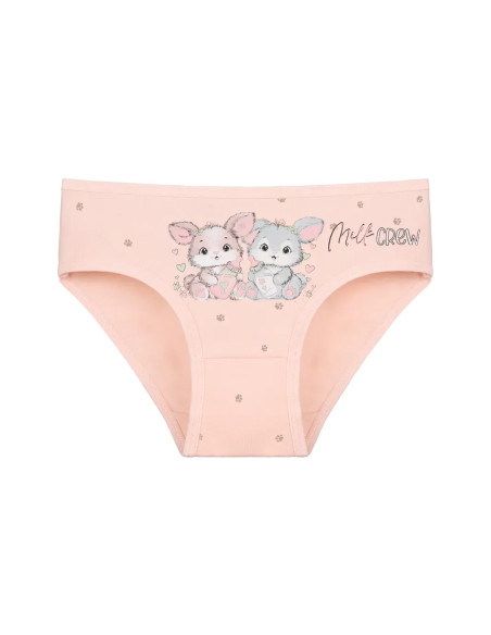 Donella 4181B43 Assorted 10-Pack Girls' Briefs — Turkey wholesale collection