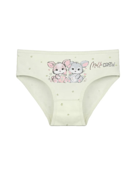 Donella 4181B43 Assorted 10-Pack Girls' Briefs — Turkish factory wholesale