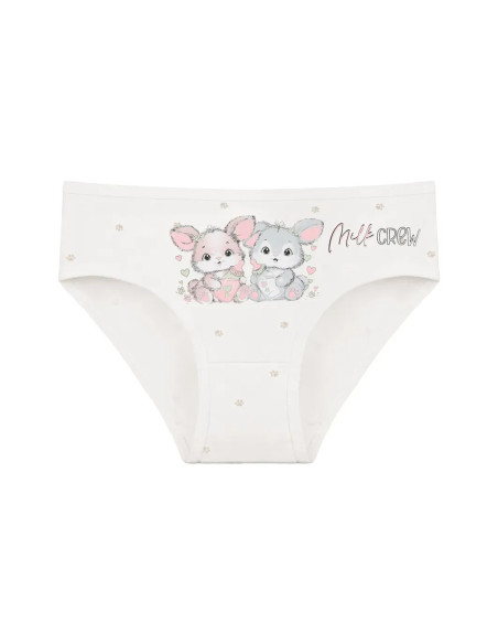 Donella 4181B43 Assorted 10-Pack Girls' Briefs — Istanbul wholesale supplier