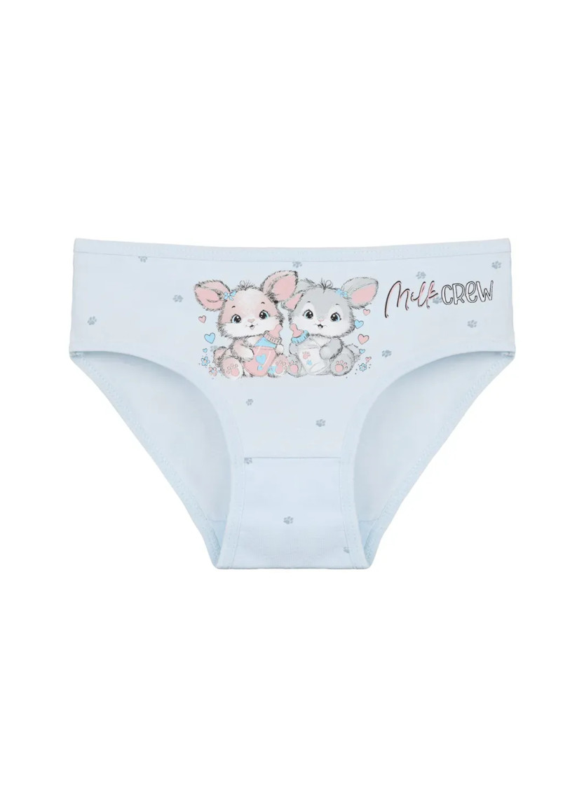 Donella 4181B43 Assorted 10-Pack Girls' Briefs — wholesale for boutiques