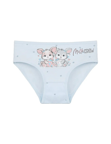 Donella 4181B43 Assorted 10-Pack Girls' Briefs — wholesale for boutiques