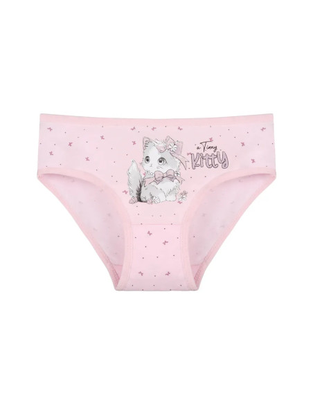 Donella 4181B48 Assorted 10-Pack Girls' Briefs — Turkish textile wholesale