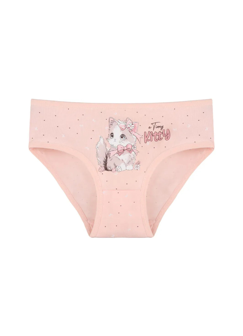 Donella 4181B48 Assorted 10-Pack Girls' Briefs — Turkish textile wholesale