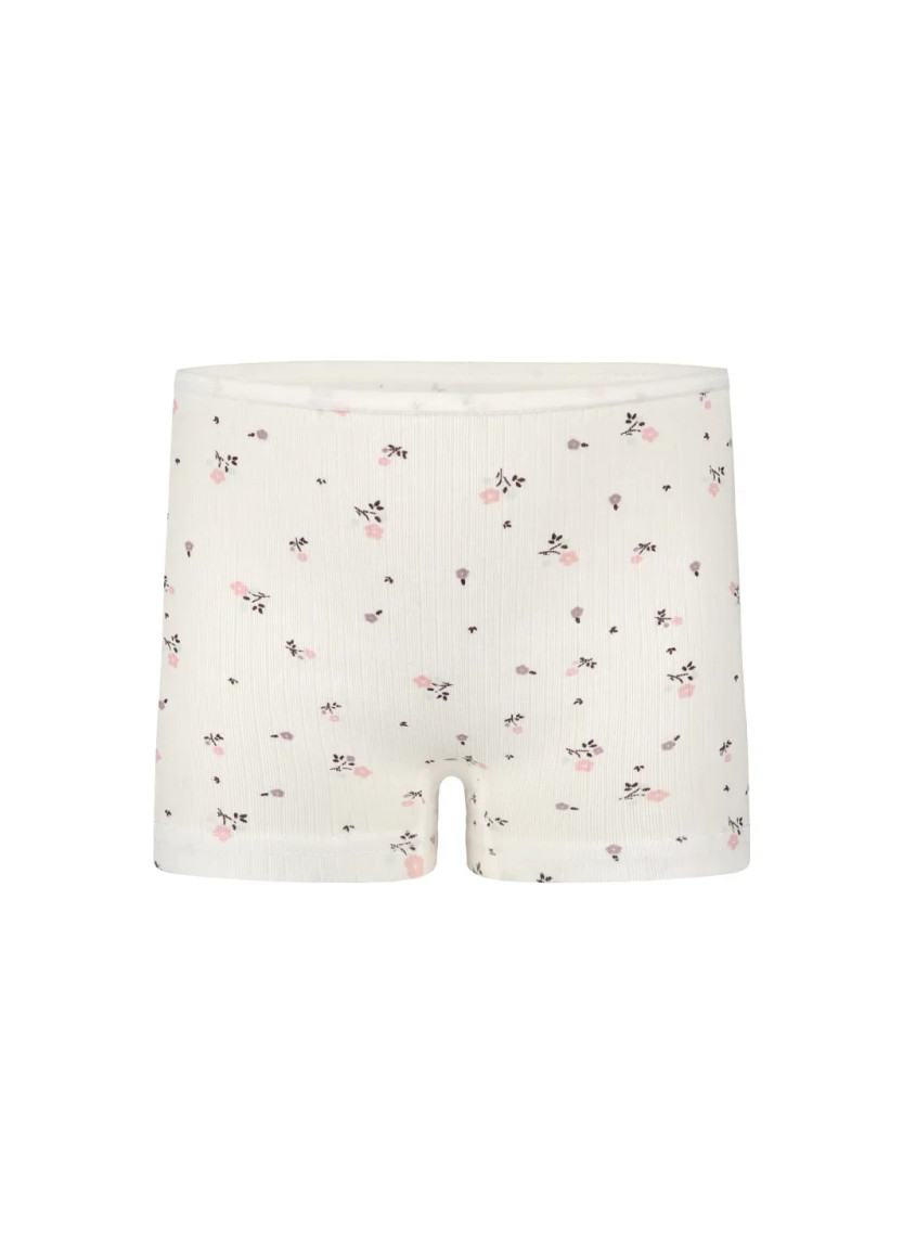 Donella 421301 Assorted 10-Pack Girls' Briefs — Istanbul wholesale supplier
