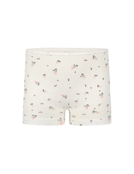 Donella 421301 Assorted 10-Pack Girls' Briefs — Istanbul wholesale supplier