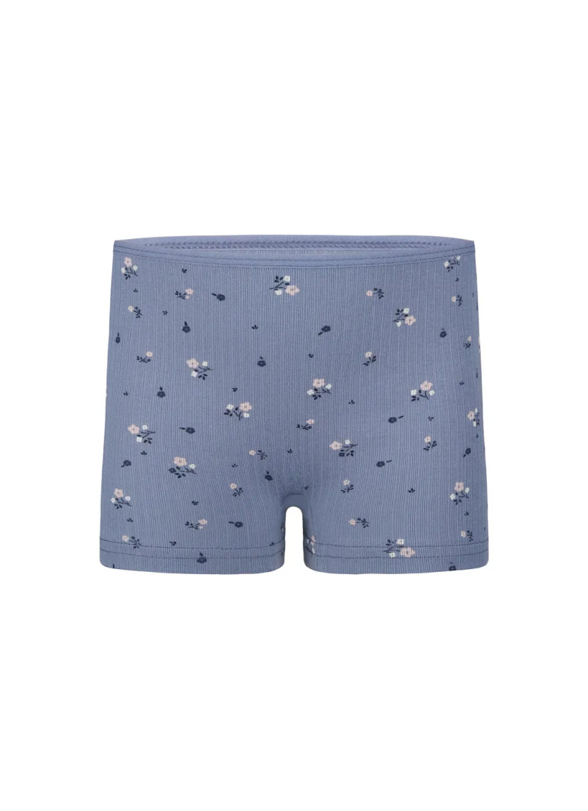 Donella 421301 Assorted 10-Pack Girls' Briefs — wholesale for boutiques