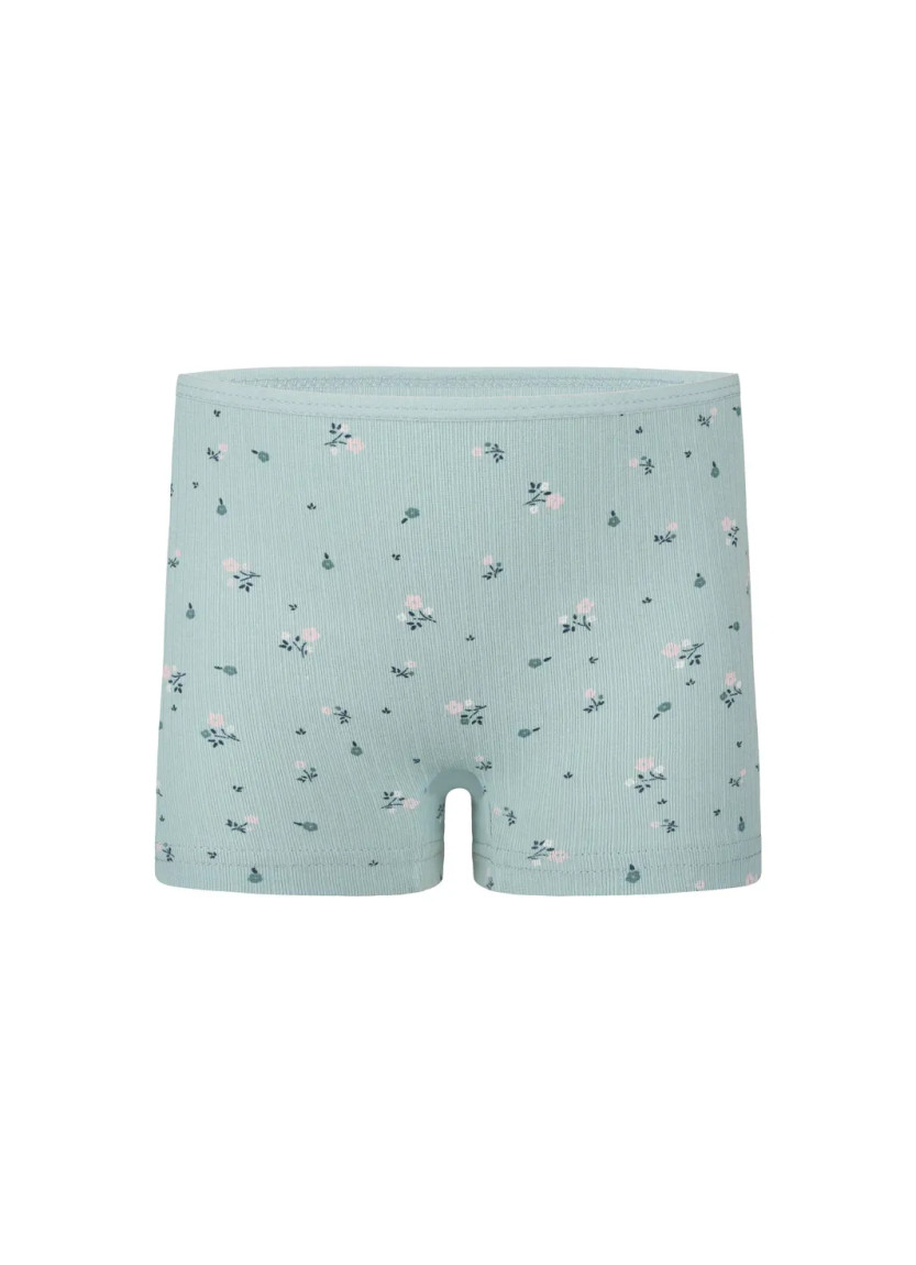 Donella 421301 Assorted 10-Pack Girls' Briefs — Istanbul wholesale supplier