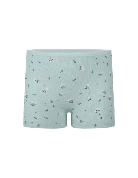 Donella 421301 Assorted 10-Pack Girls' Briefs — Istanbul wholesale supplier