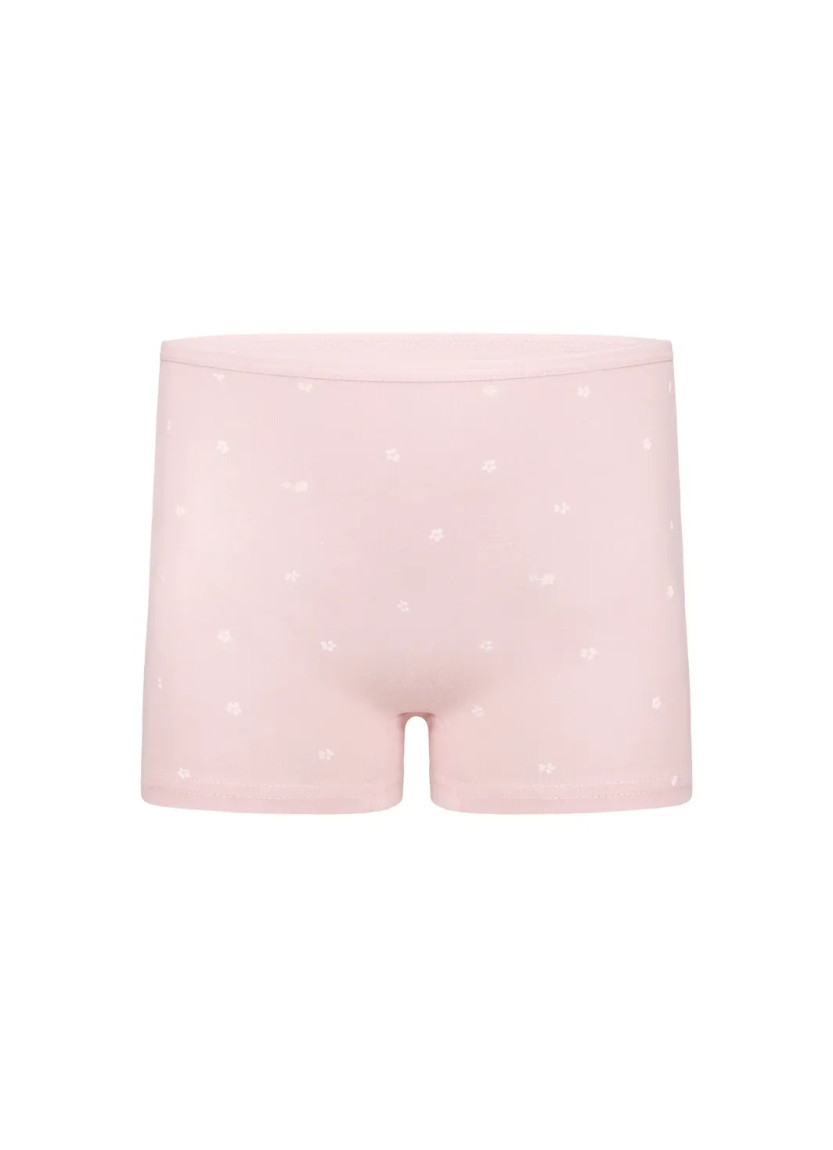 Donella 421555 Assorted 10-Pack Girls' Briefs — factory-direct from Turkey