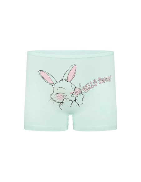Donella 4271PB159 Assorted 10-Pack Girls' Briefs — direct Turkish factory supply