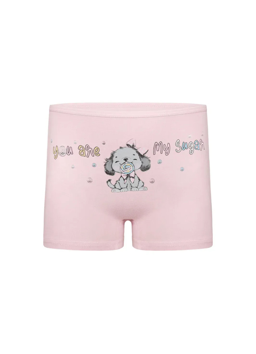 Donella 4271PB177 Assorted 10-Pack Girls' Briefs — wholesale for boutiques