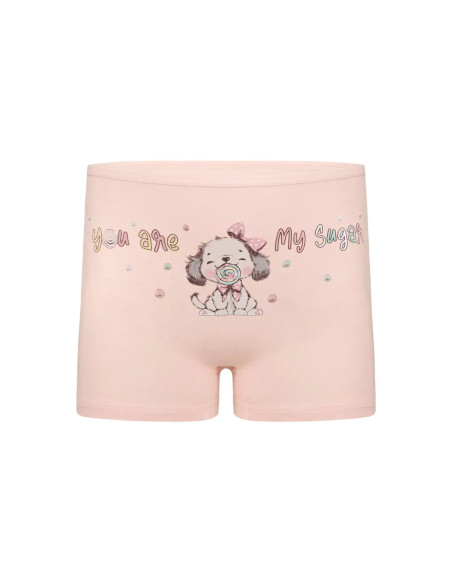 Donella 4271PB177 Assorted 10-Pack Girls' Briefs — Turkish factory wholesale