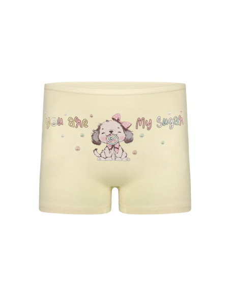 Donella 4271PB177 Assorted 10-Pack Girls' Briefs — Istanbul wholesale supplier