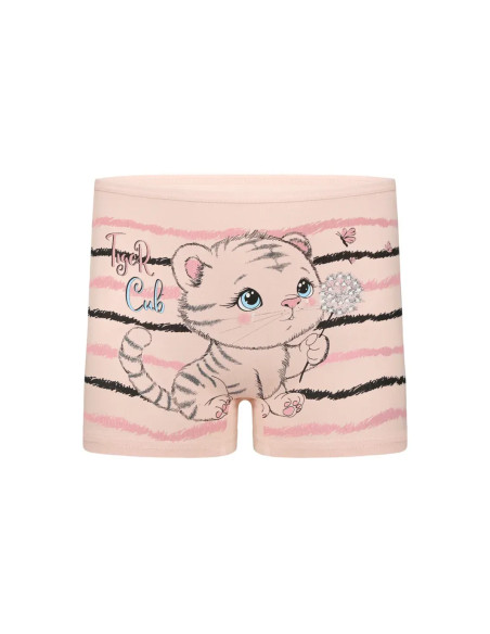 Donella 4271PB201 Assorted 10-Pack Girls' Briefs — direct Turkish factory supply