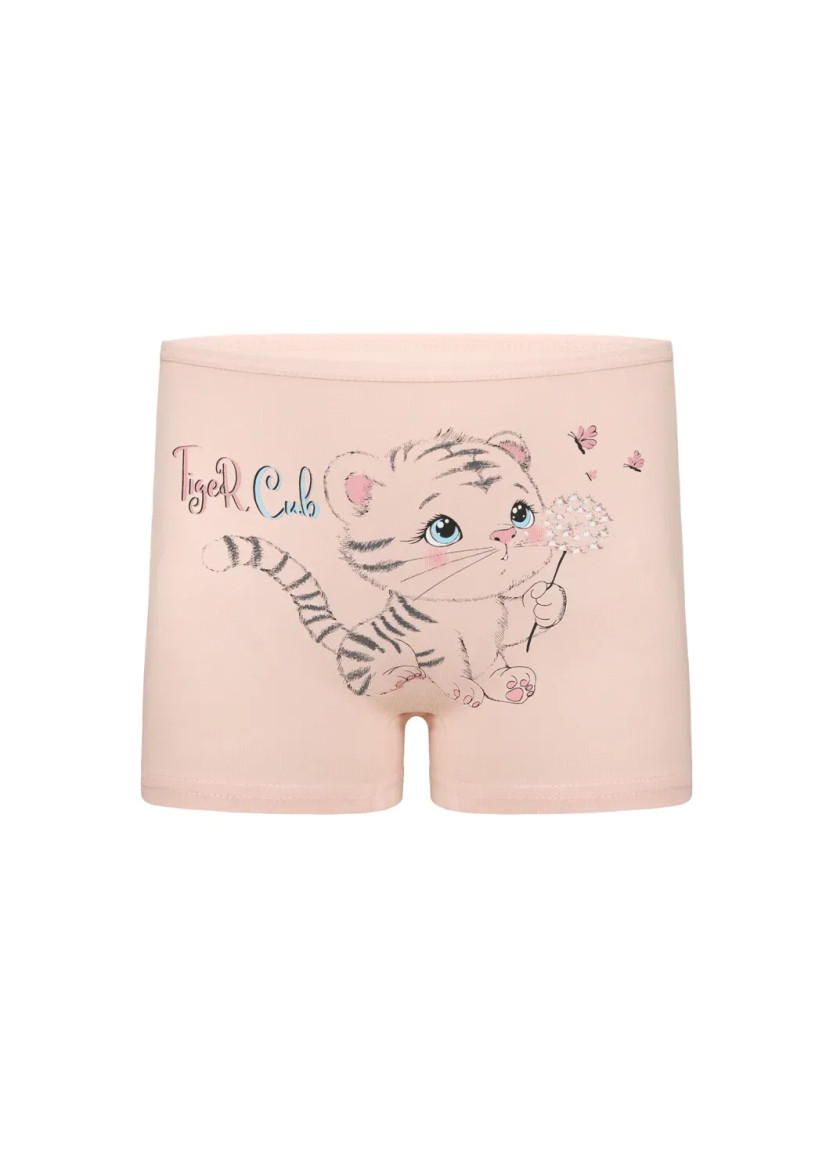 Donella 4271PB201 Assorted 10-Pack Girls' Briefs — Turkish textile wholesale