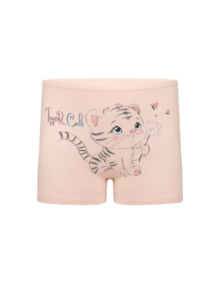 Donella 4271PB201 Assorted 10-Pack Girls' Briefs — Turkish textile wholesale