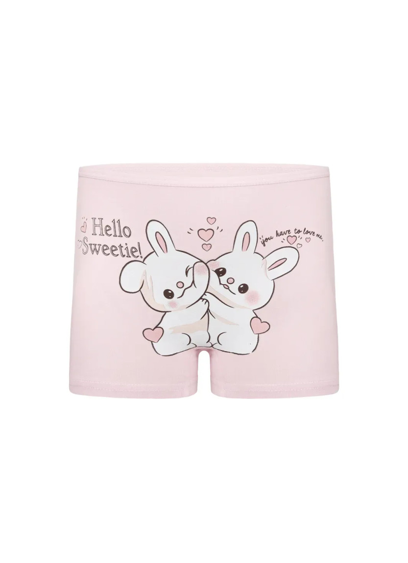 Donella 4271PB202 Assorted 10-Pack Girls' Briefs — Istanbul wholesale supplier