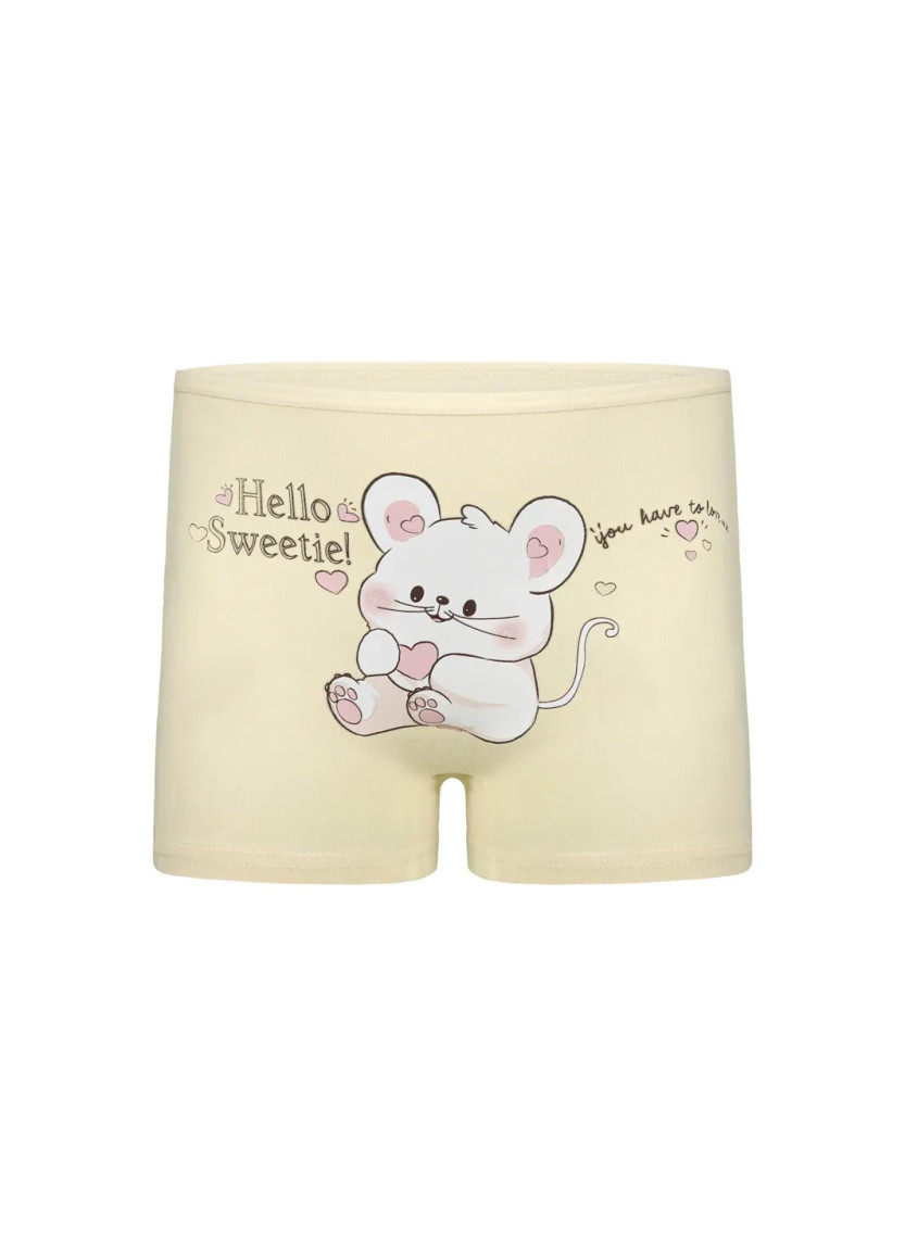 Donella 4271PB202 Assorted 10-Pack Girls' Briefs — Turkish factory wholesale