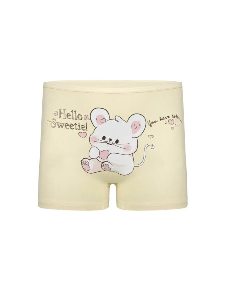 Donella 4271PB202 Assorted 10-Pack Girls' Briefs — Turkish factory wholesale