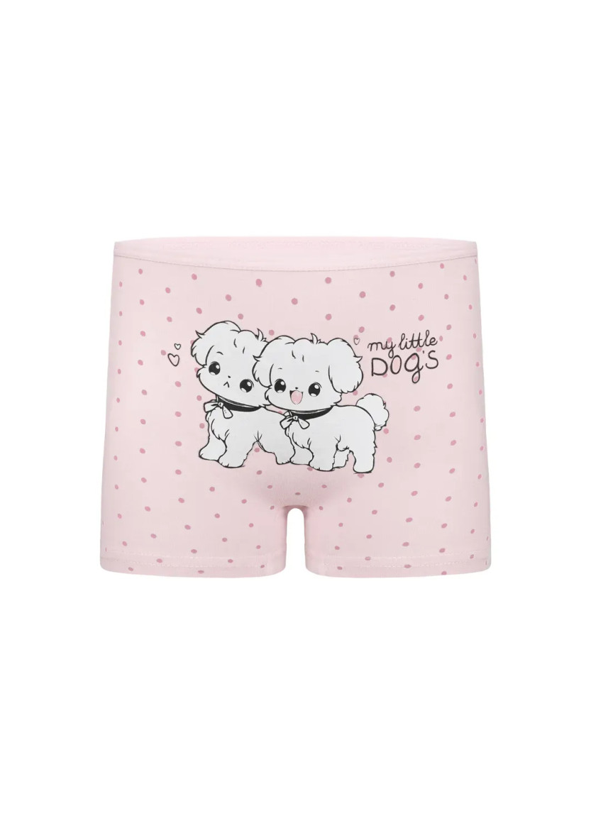 Donella 4271PB212 Assorted 10-Pack Girls' Briefs — Turkish factory wholesale