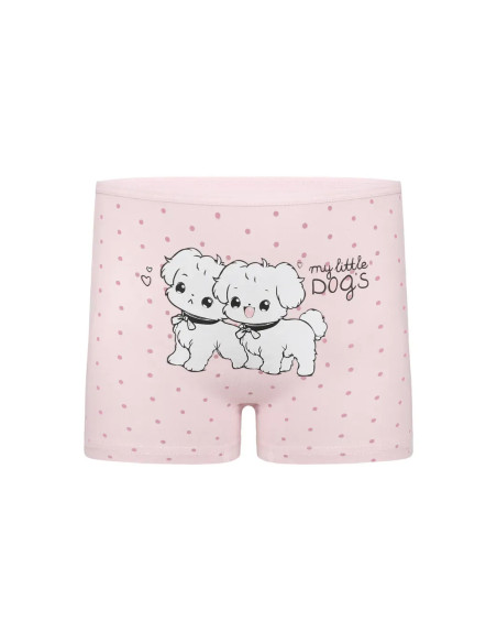 Donella 4271PB212 Assorted 10-Pack Girls' Briefs — Turkish factory wholesale