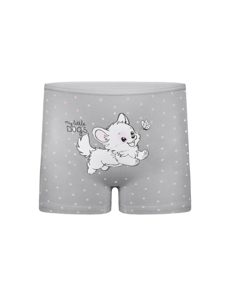 Donella 4271PB212 Assorted 10-Pack Girls' Briefs — Istanbul wholesale supplier