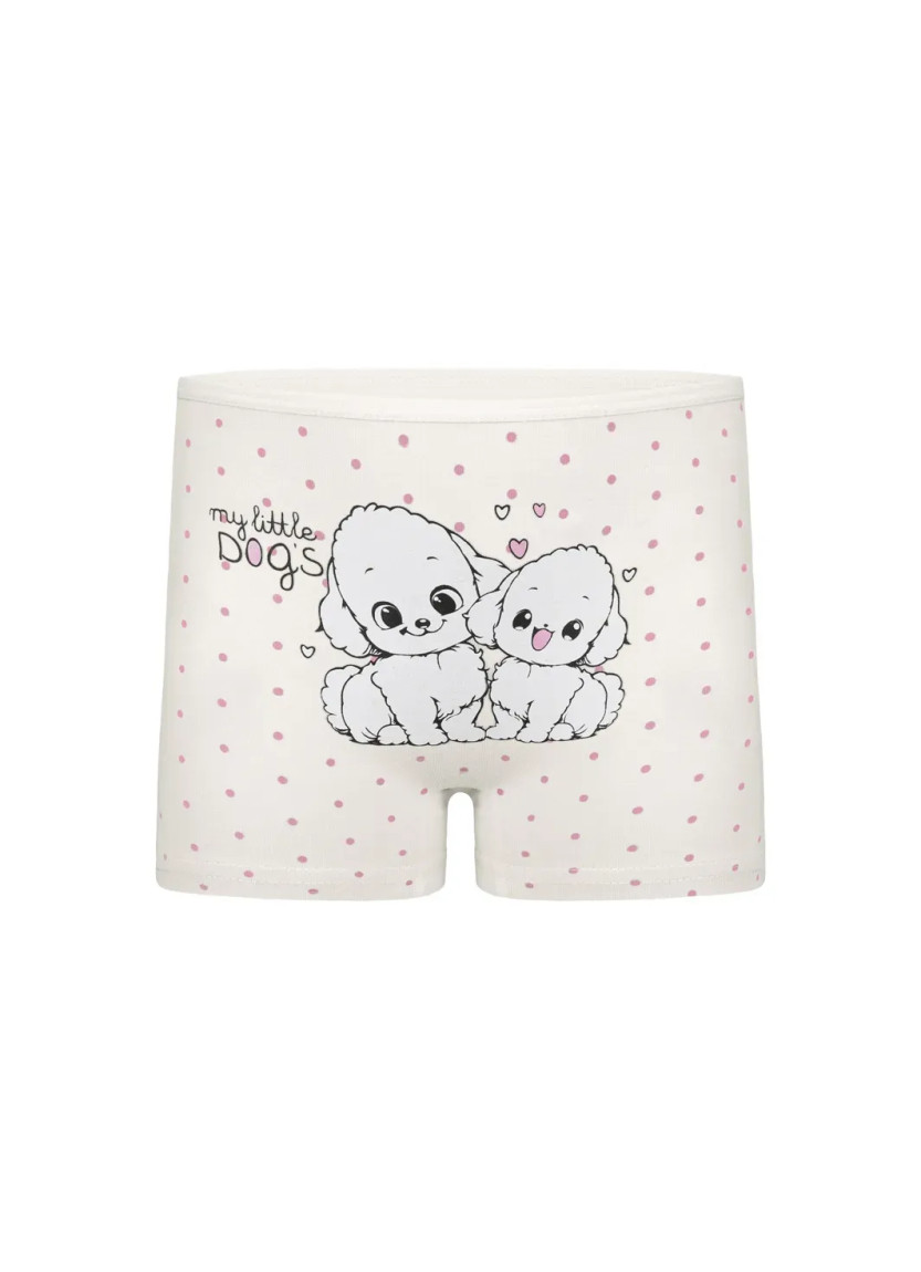 Donella 4271PB212 Assorted 10-Pack Girls' Briefs — wholesale for boutiques