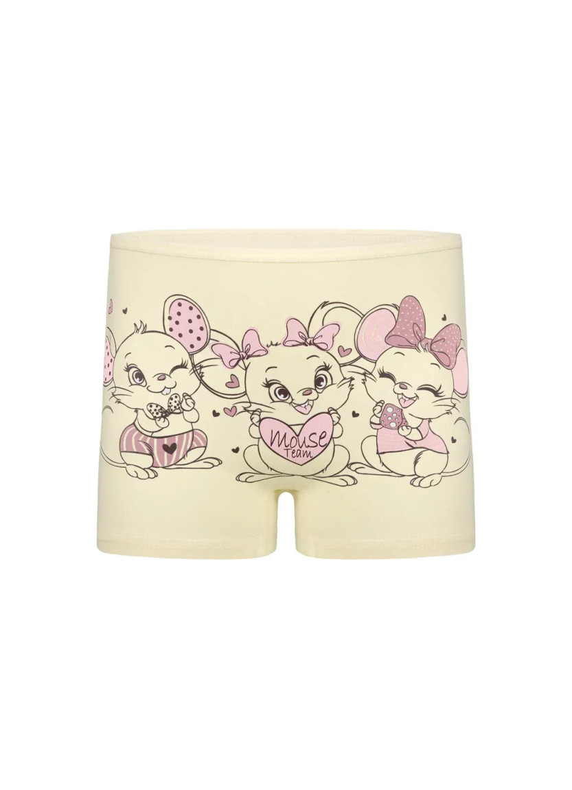 Donella 4271PB225 Assorted 10-Pack Girls' Briefs — wholesale from Turkey
