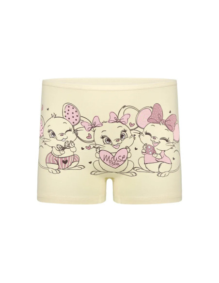 Donella 4271PB225 Assorted 10-Pack Girls' Briefs — wholesale from Turkey